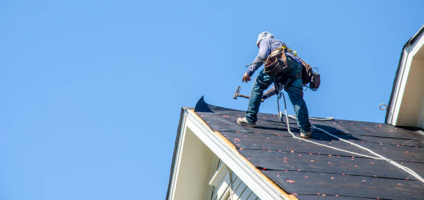 Best Roof Gutter Cleaning  in Granite Hills, CA